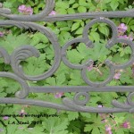 Geraniums and wrought iron