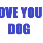 love your dog, 2014